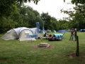 Picture 010